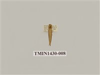 藏品(燈蛾科)的圖片